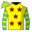 Runner silk